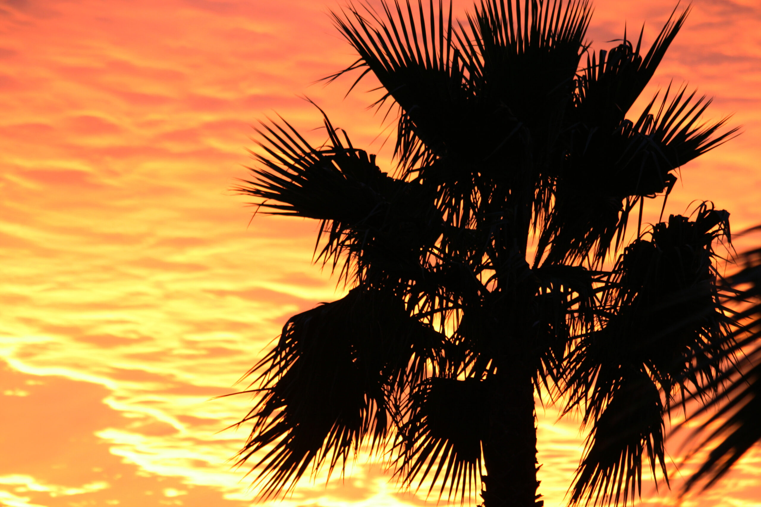 SUnset, Retama Village, far South Texas